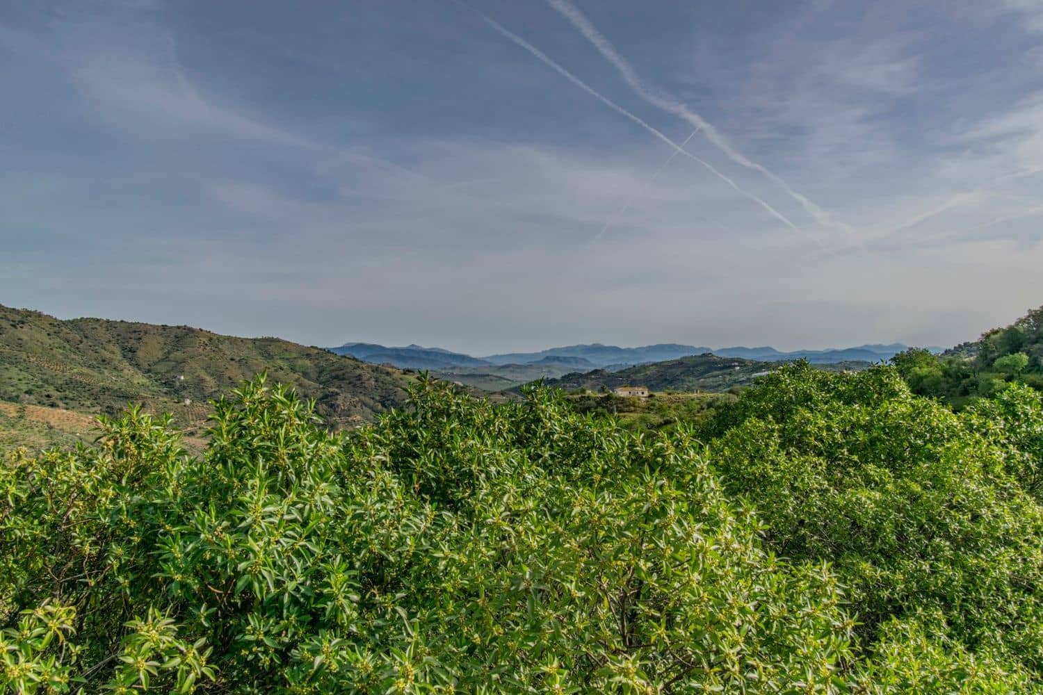 5 quarto Moradia para venda em Monda com garagem - 535 000 € (Ref: 8247111)