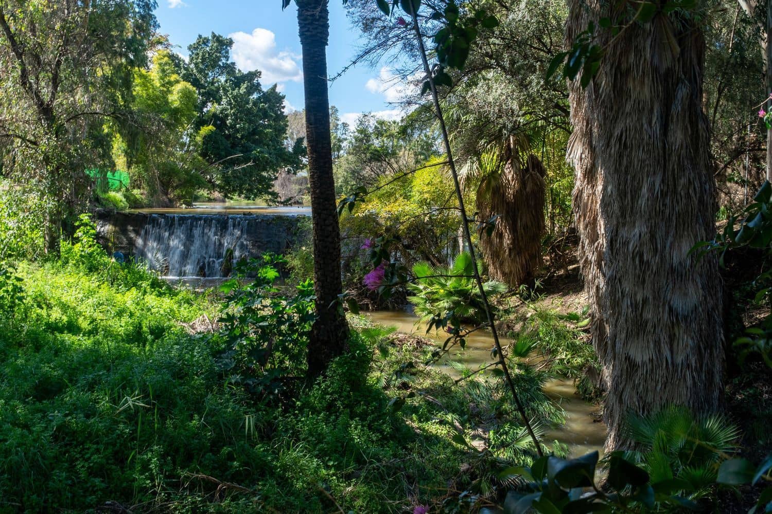 5 slaapkamer Villa te koop in Aloha Golf met zwembad garage - € 4.290.000 (Ref: 9916445)