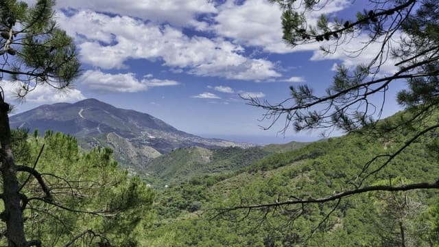 Terreno Non Edificato in vendita in Coín - 975.000 € (Rif: 9977397)