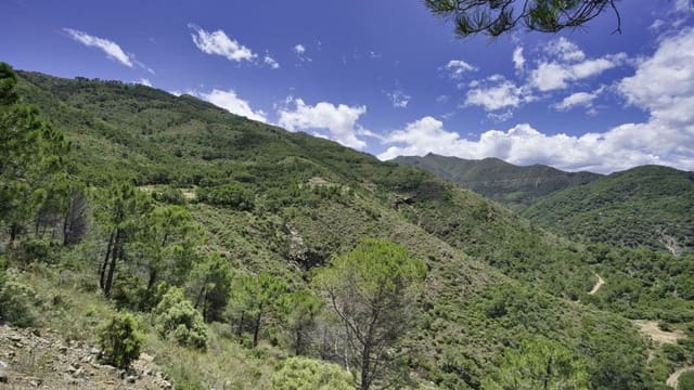 Terreno Non Edificato in vendita in Coín - 975.000 € (Rif: 9977397)