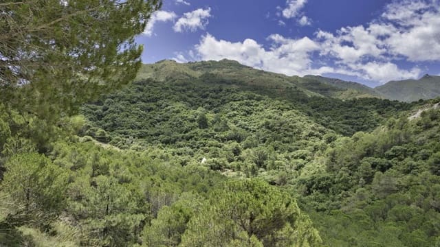 Terreno Non Edificato in vendita in Coín - 975.000 € (Rif: 9977397)