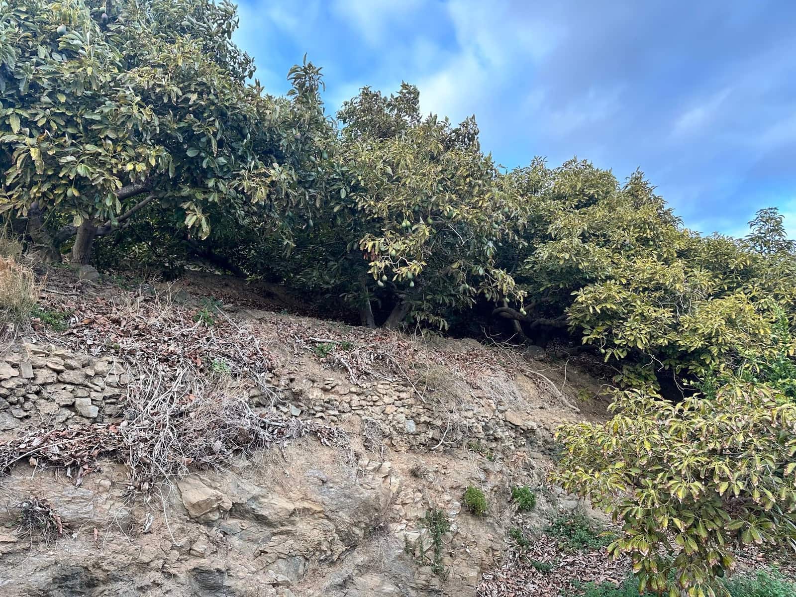 2 makuuhuone Maalaistalo myytävänä paikassa Motril - 264 000 € (Ref: 9480806)