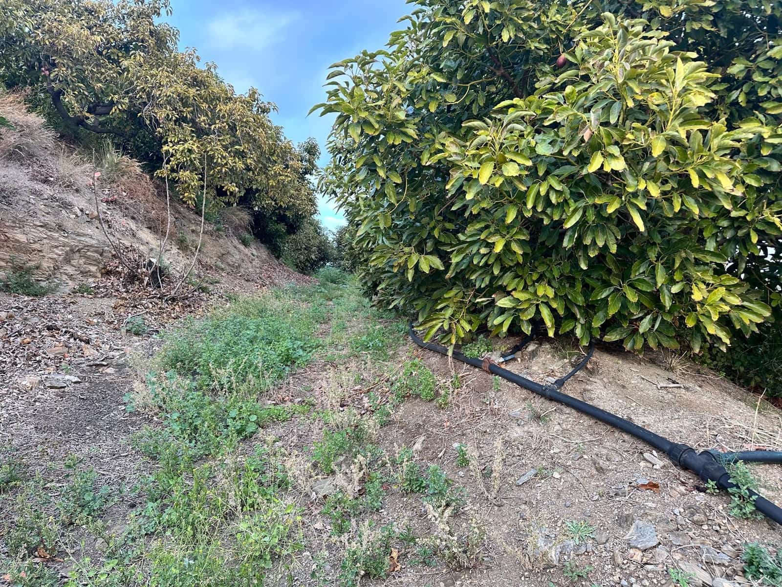 2 makuuhuone Maalaistalo myytävänä paikassa Motril - 264 000 € (Ref: 9480806)