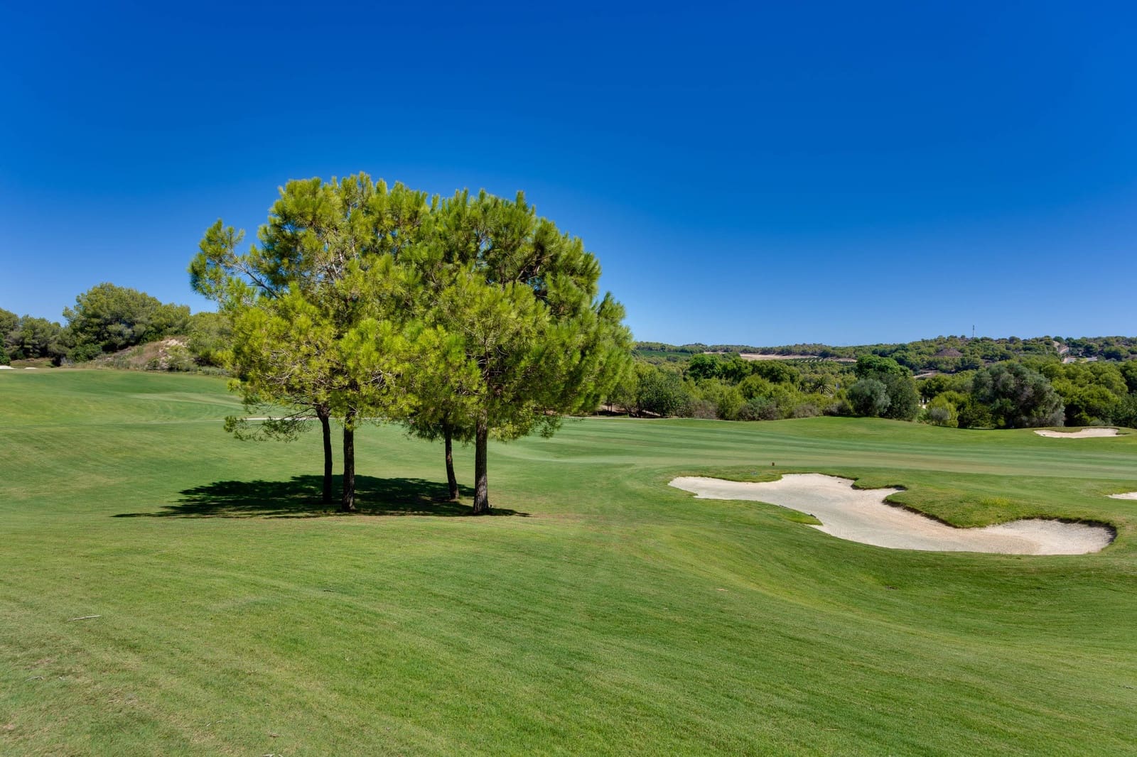 4 makuuhuone Huvila myytävänä paikassa Las Colinas Golf mukana uima-altaan - 2 800 000 € (Ref: 10080539)