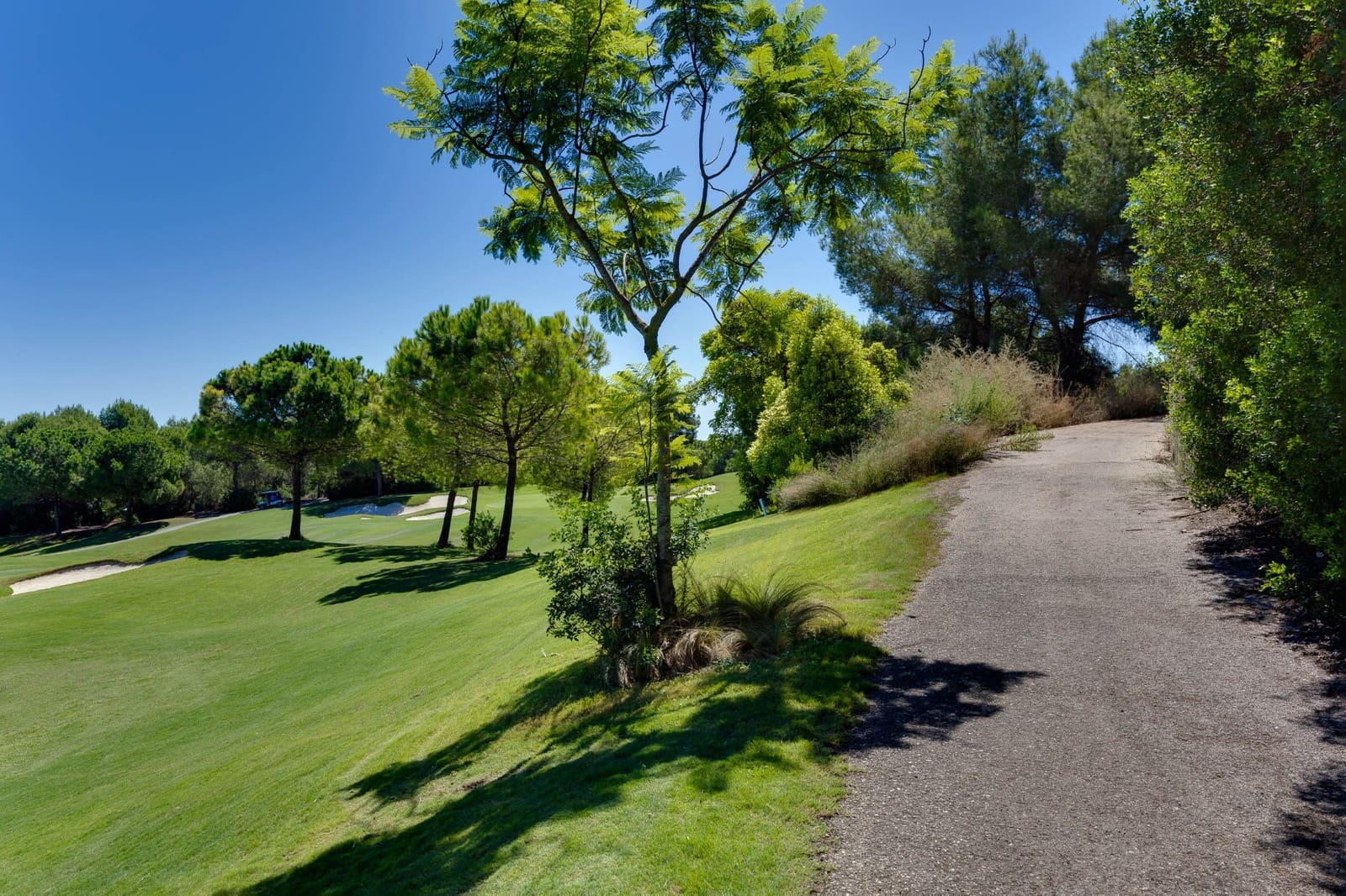 4 makuuhuone Huvila myytävänä paikassa Las Colinas Golf mukana uima-altaan - 2 800 000 € (Ref: 10080539)