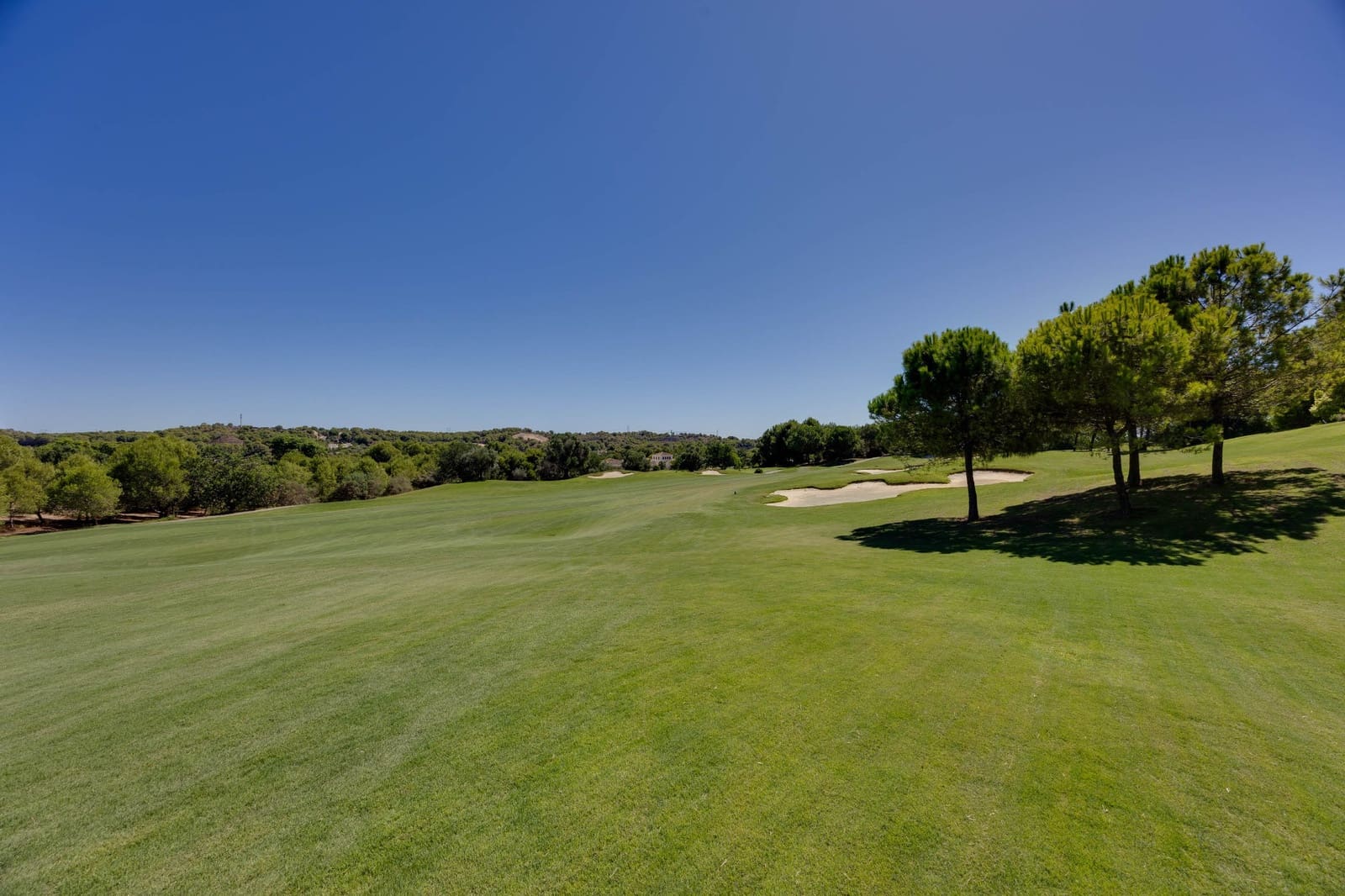 4 makuuhuone Huvila myytävänä paikassa Las Colinas Golf mukana uima-altaan - 2 800 000 € (Ref: 10080539)