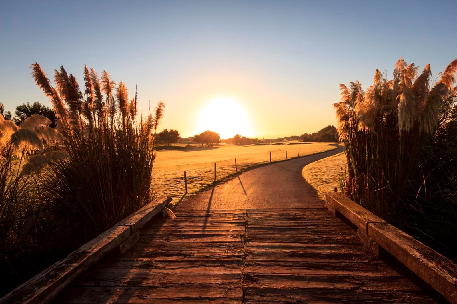 3 bedroom Apartment for sale in Pilar de la Horadada with pool - € 329,900 (Ref: 6728135)