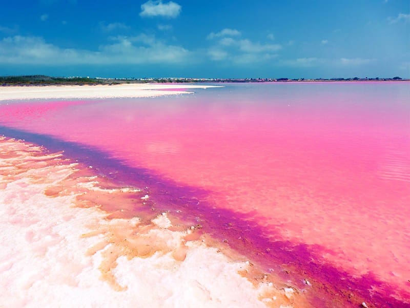 1 bedroom Apartment for sale in Torrevieja with pool garage - € 229,000 (Ref: 7980559)