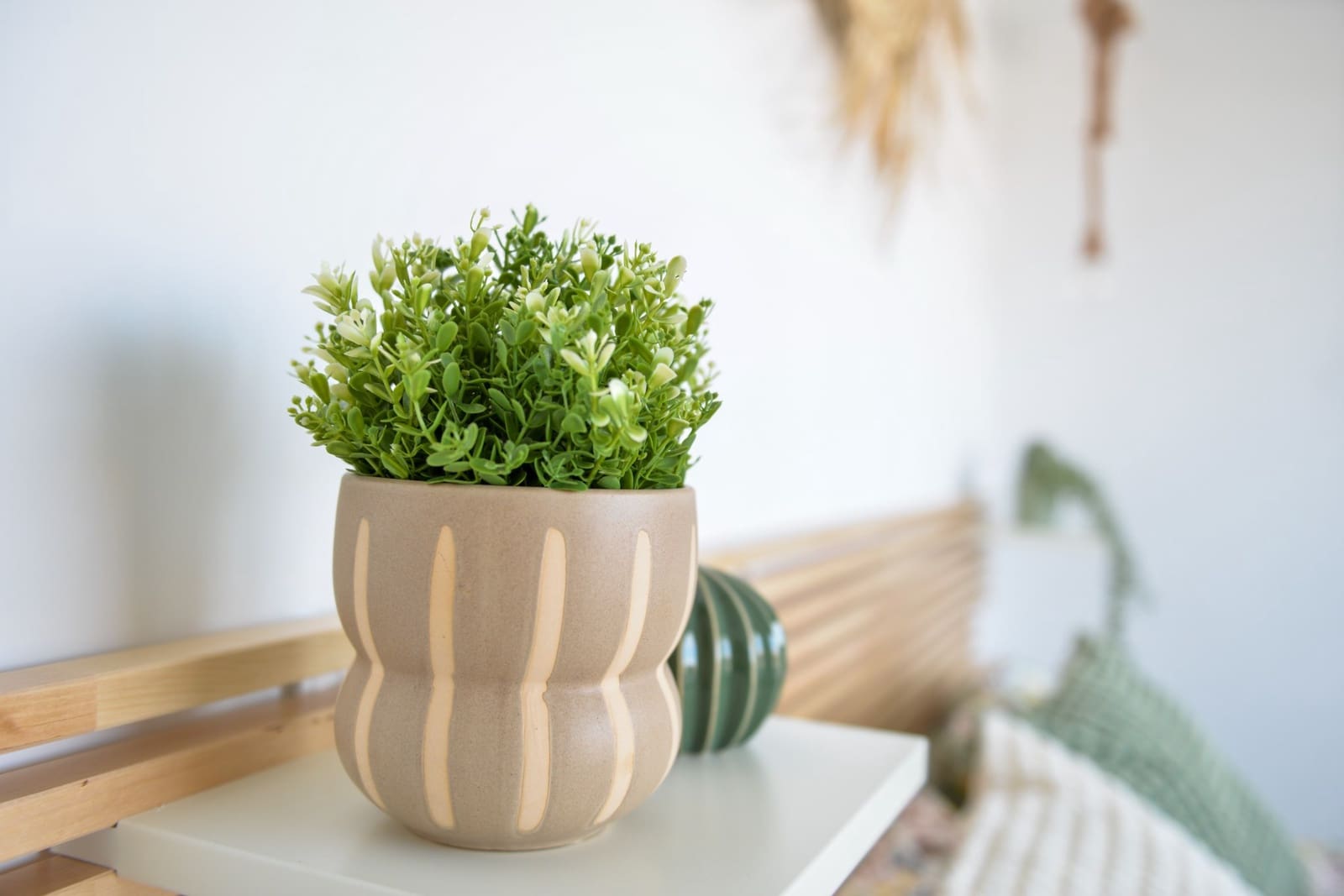 3 bedroom Villa for sale in San Pedro del Pinatar with pool - € 397,000 (Ref: 8661489)