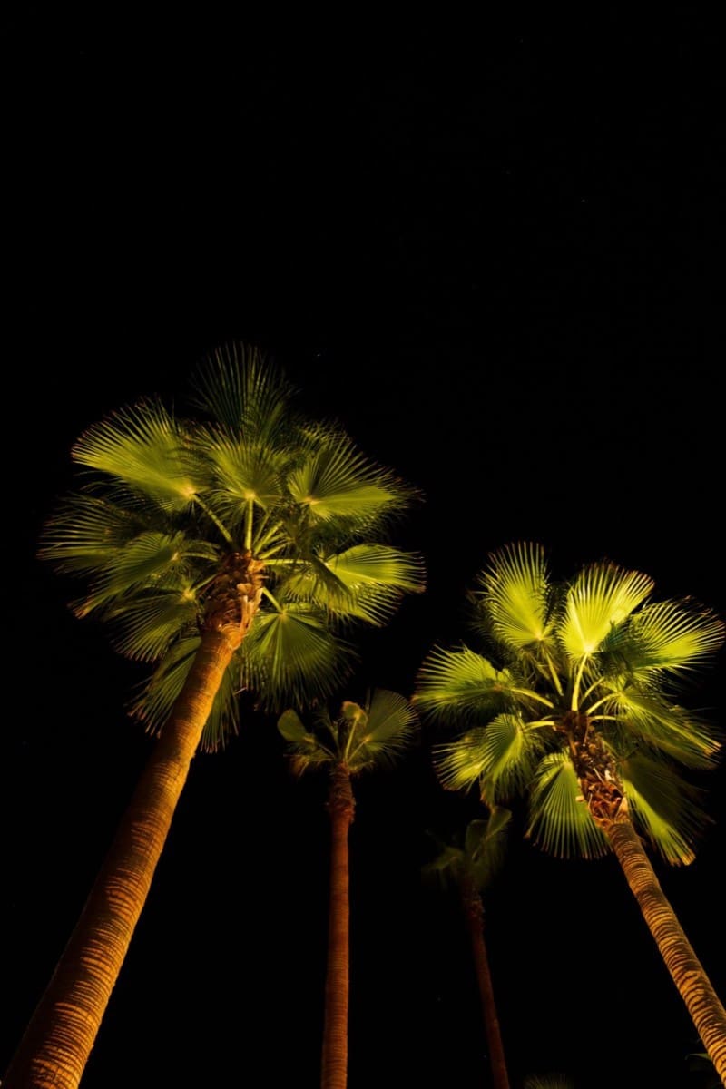 5 soverom Villa til salgs i Las Colinas Golf med svømmebasseng - € 1 960 000 (Ref: 8786126)