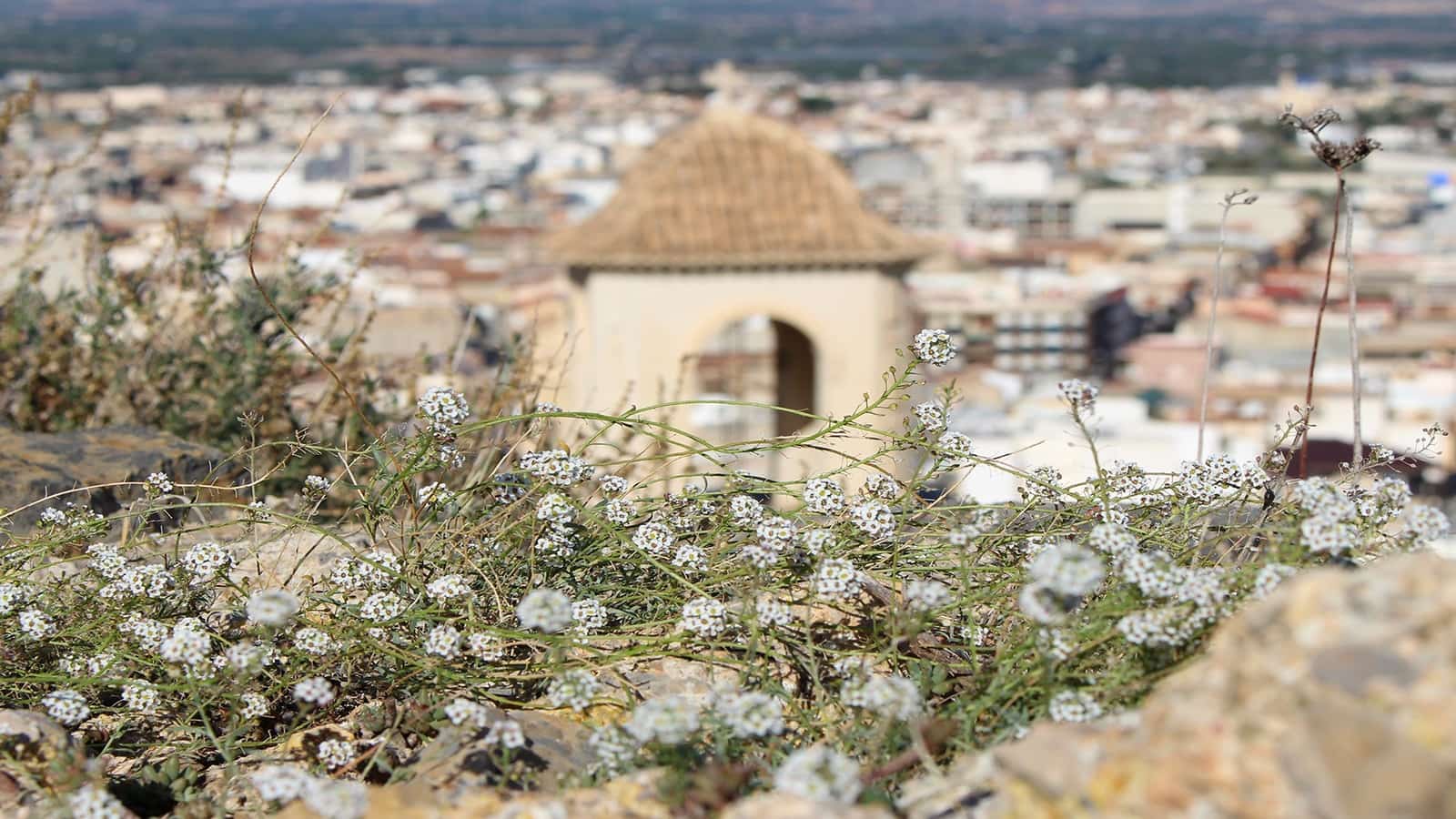 2 bedroom Townhouse for sale in Cox with pool - € 219,000 (Ref: 8933518)