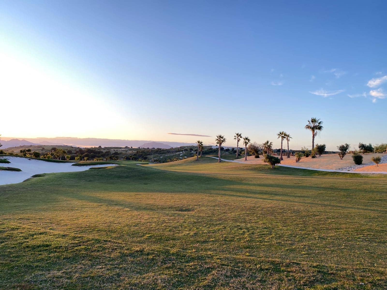 3 sypialnia Willa na sprzedaż w Los Montesinos z basenem - 469 900 € (Ref: 9175830)