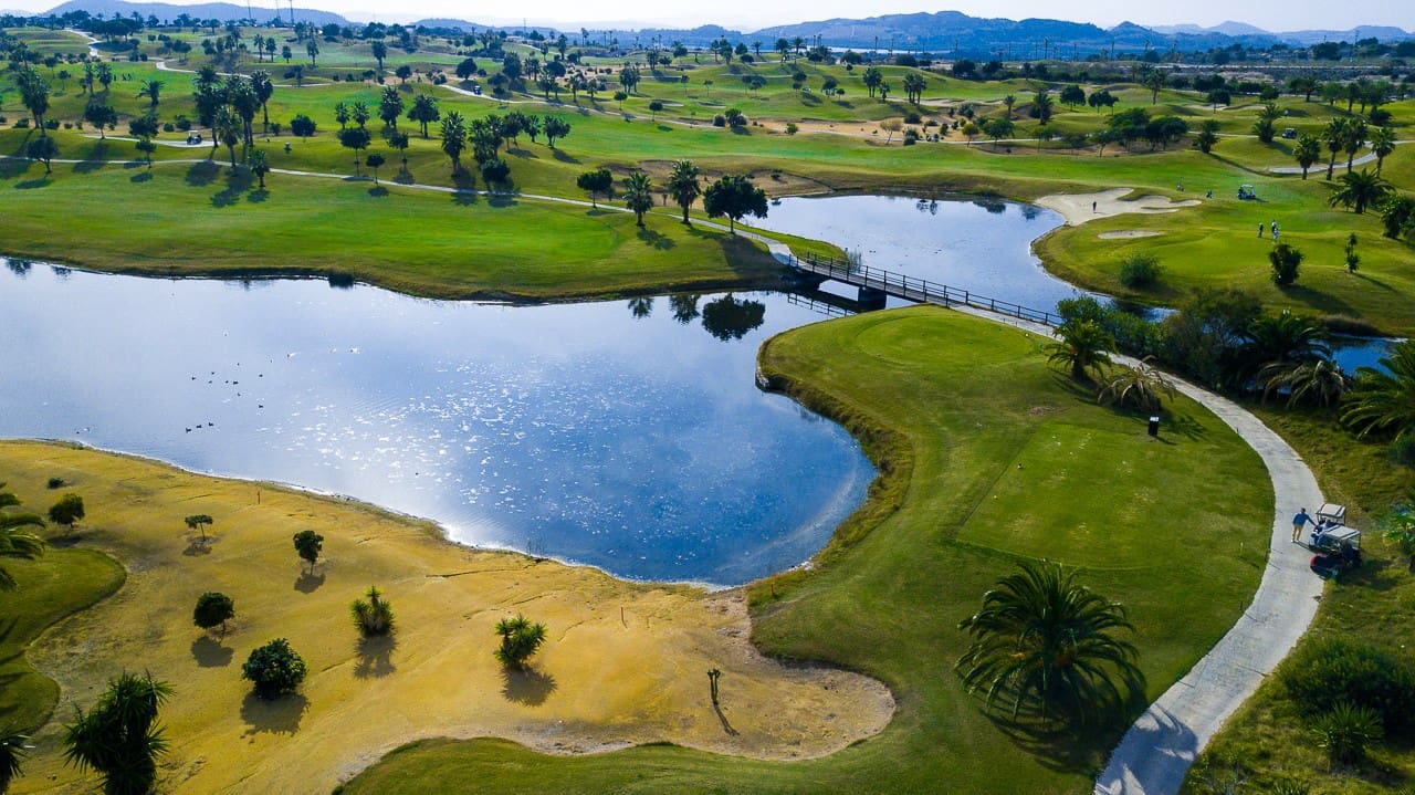 3 sypialnia Willa na sprzedaż w Los Montesinos z basenem - 469 900 € (Ref: 9175830)