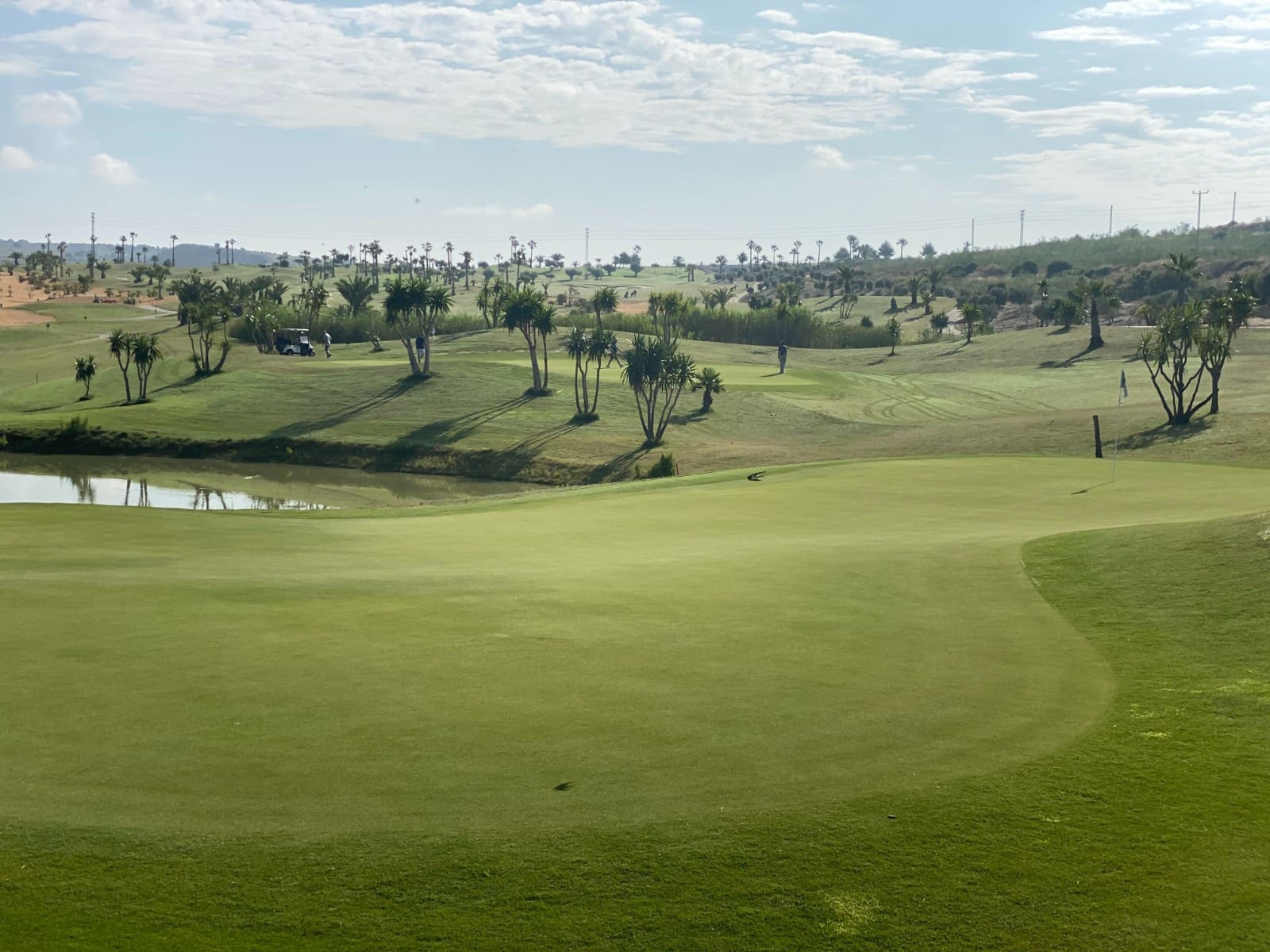 3 sypialnia Willa na sprzedaż w Los Montesinos z basenem - 469 900 € (Ref: 9175830)