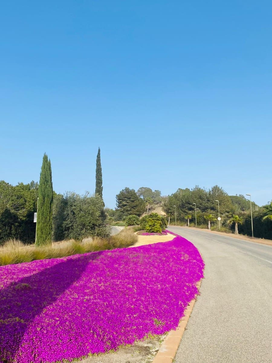 3 bedroom Villa for sale in Las Colinas Golf with pool - € 545,000 (Ref: 9494361)