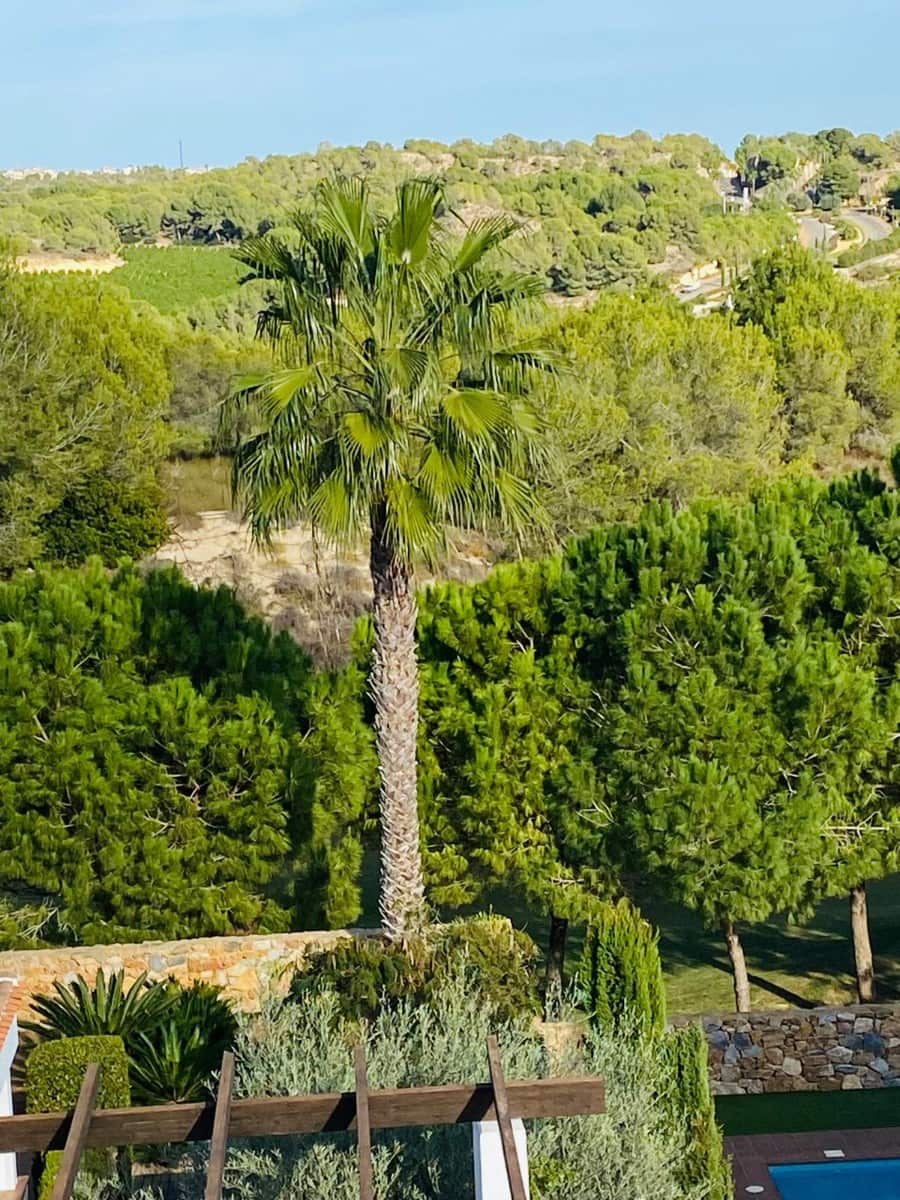 3 bedroom Villa for sale in Las Colinas Golf with pool - € 545,000 (Ref: 9494361)