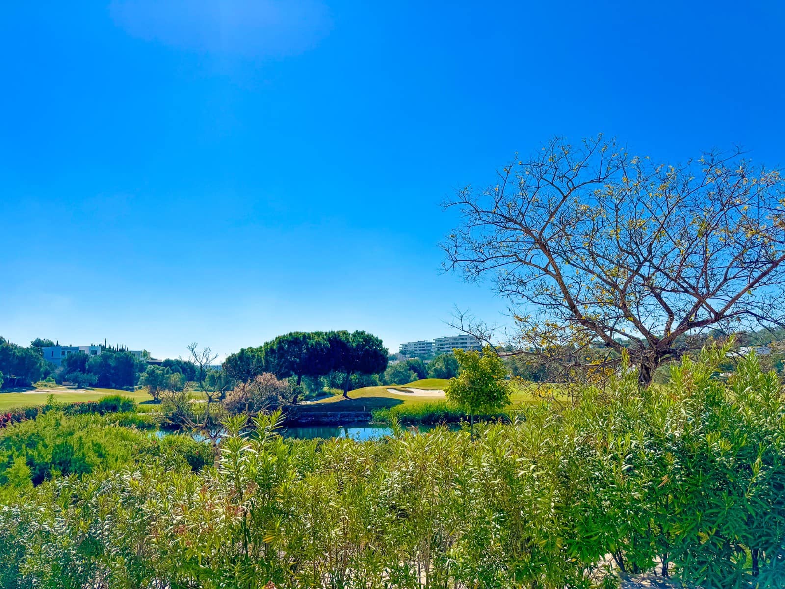 3 soveværelse Villa til salg i Las Colinas Golf med swimmingpool - € 1.390.000 (Ref: 9784110)