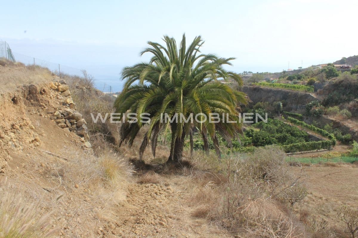 Grond te koop in La Guancha - € 55.000 (Ref: 6049694)