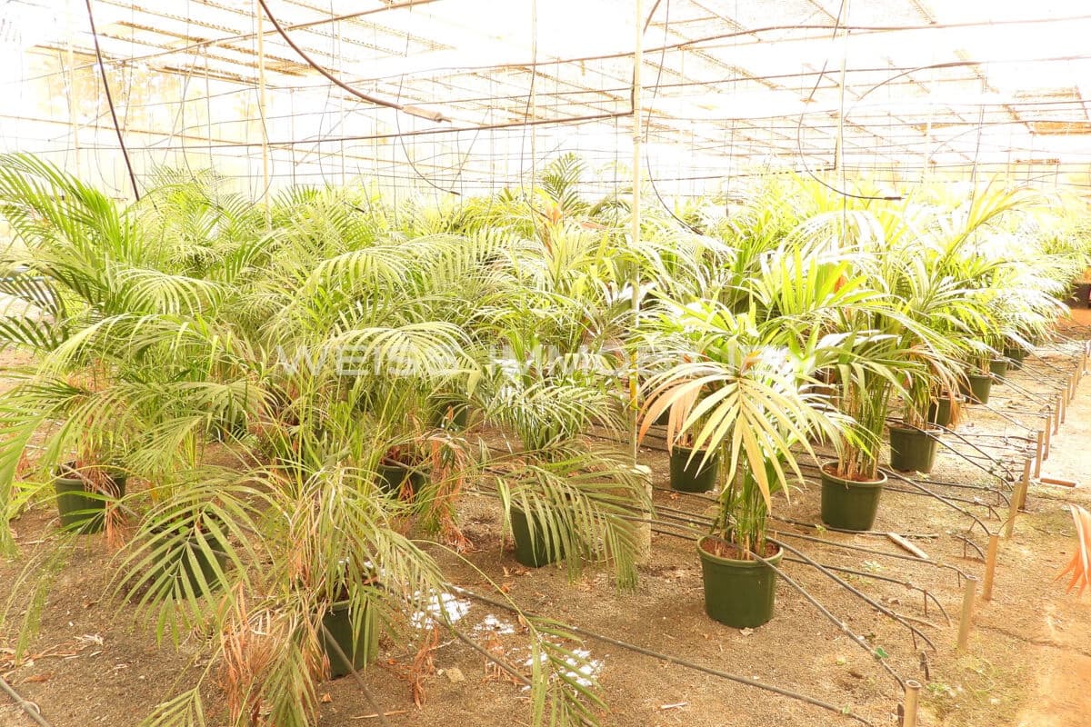 Casa de 4 habitaciones en Tacoronte en venta con piscina garaje - 1.450.000 € (Ref: 9229116)