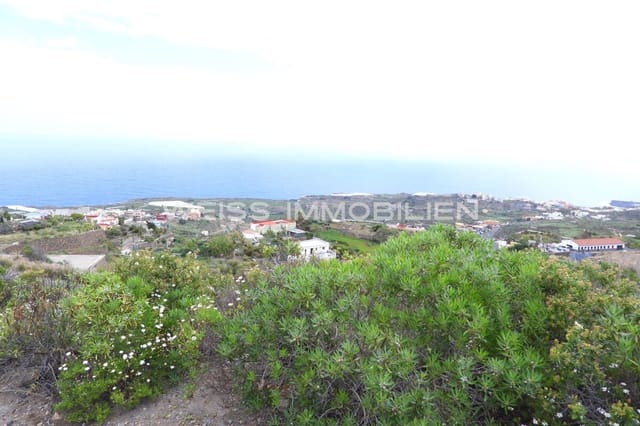 Terreno/Finca Rústica en La Guancha en venta - 335.000 € (Ref: 9467637)