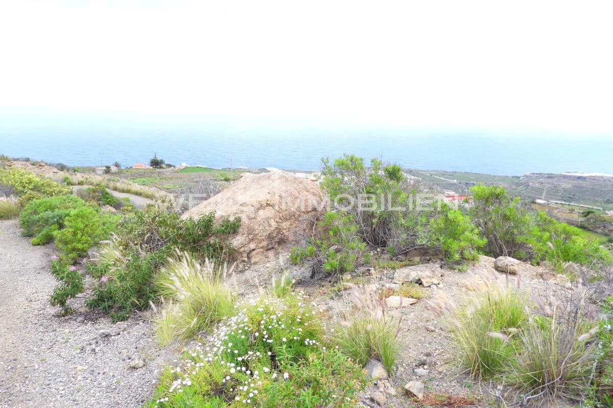 Terreno/Finca Rústica en La Guancha en venta - 335.000 € (Ref: 9467637)