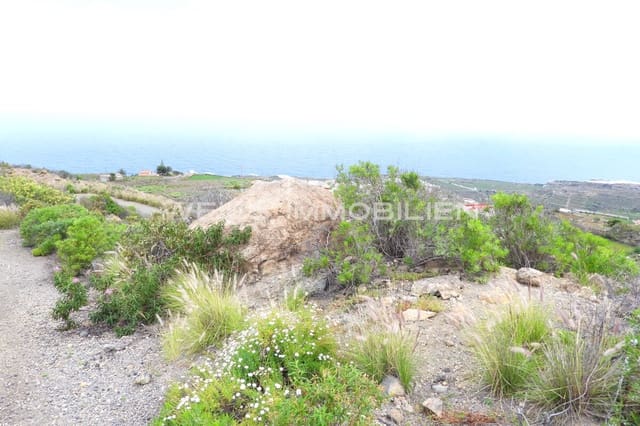 Terreno/Finca Rústica en La Guancha en venta - 335.000 € (Ref: 9467637)