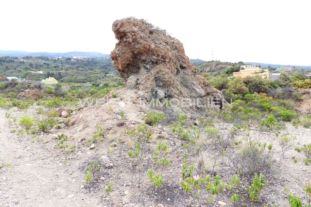 Terreno/Finca Rústica en La Guancha en venta - 335.000 € (Ref: 9467637)