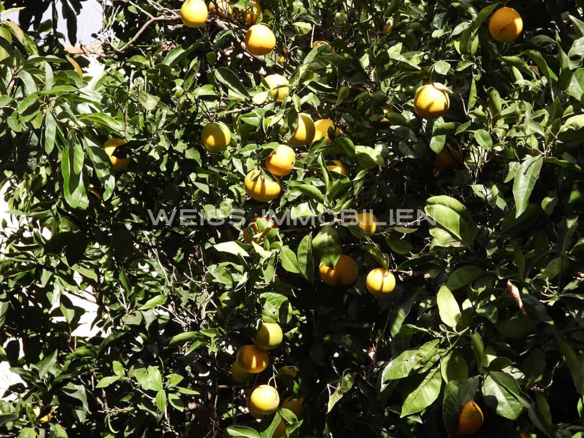 Casa de 5 habitaciones en San Cristóbal de La Laguna en venta con garaje - 595.000 € (Ref: 9687636)