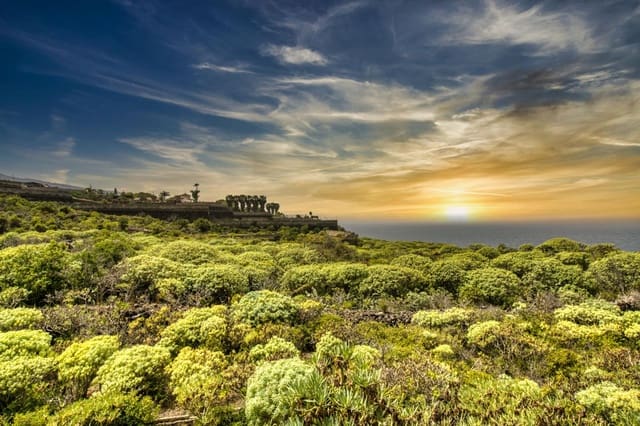 5 chambre Finca/Maison de Campagne à vendre à Icod de los Vinos - 685 000 € (Ref: 7564587)