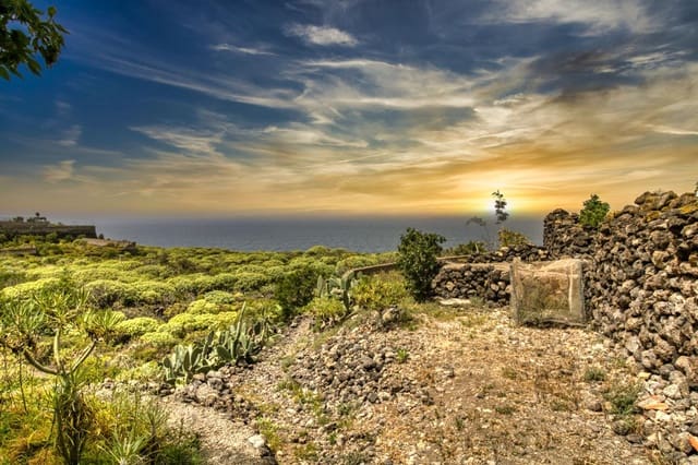 5 chambre Finca/Maison de Campagne à vendre à Icod de los Vinos - 685 000 € (Ref: 7564587)