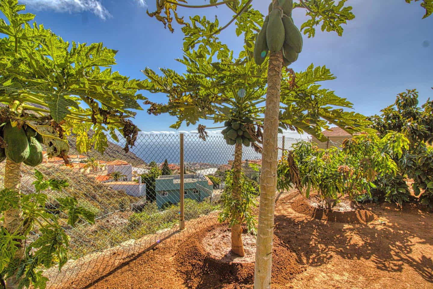 5 soveværelse Villa til salg i Candelaria med swimmingpool garage - € 839.000 (Ref: 8610186)