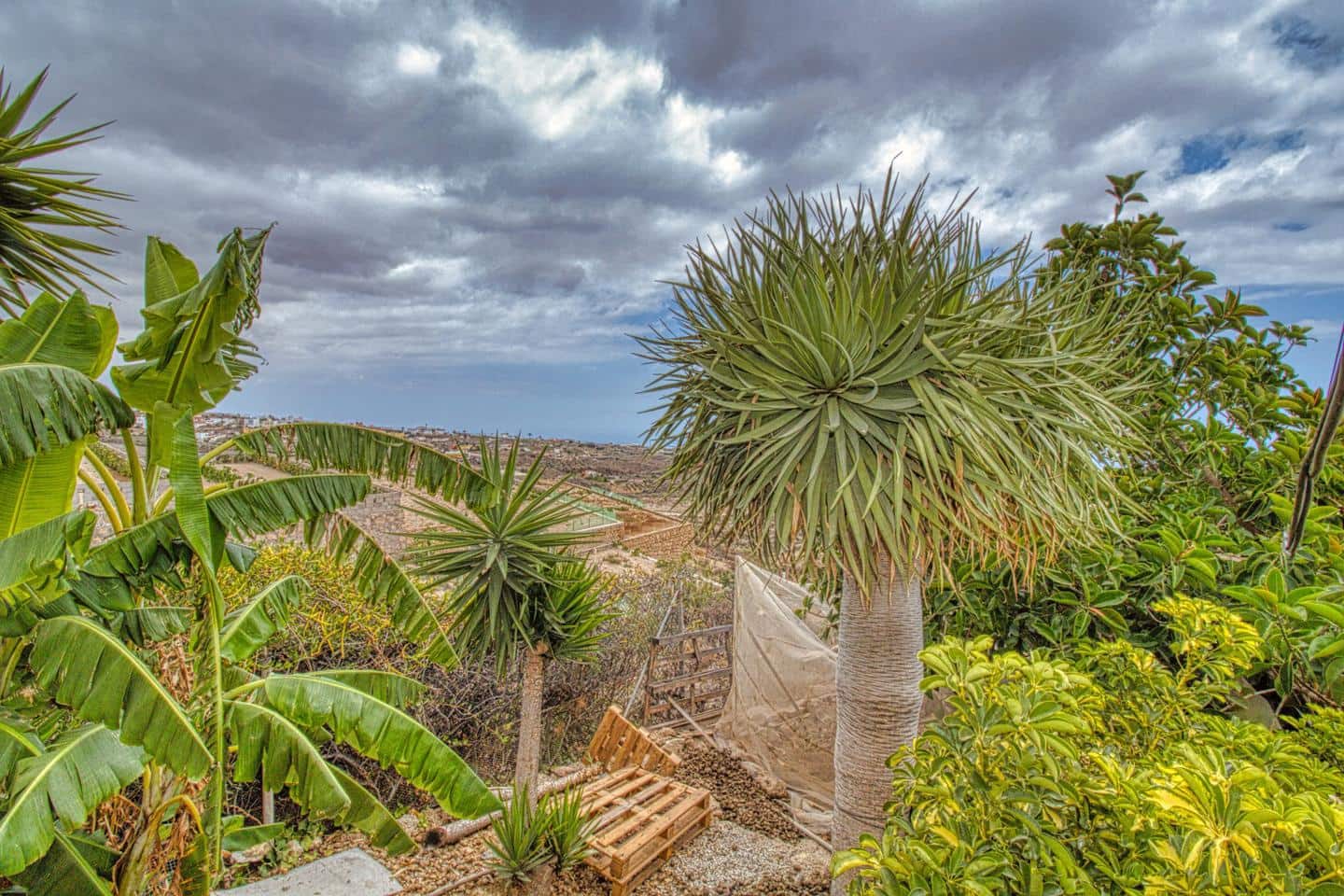 3 soveværelse Finca/Landehus til salg i Chimiche - € 340.000 (Ref: 9168237)