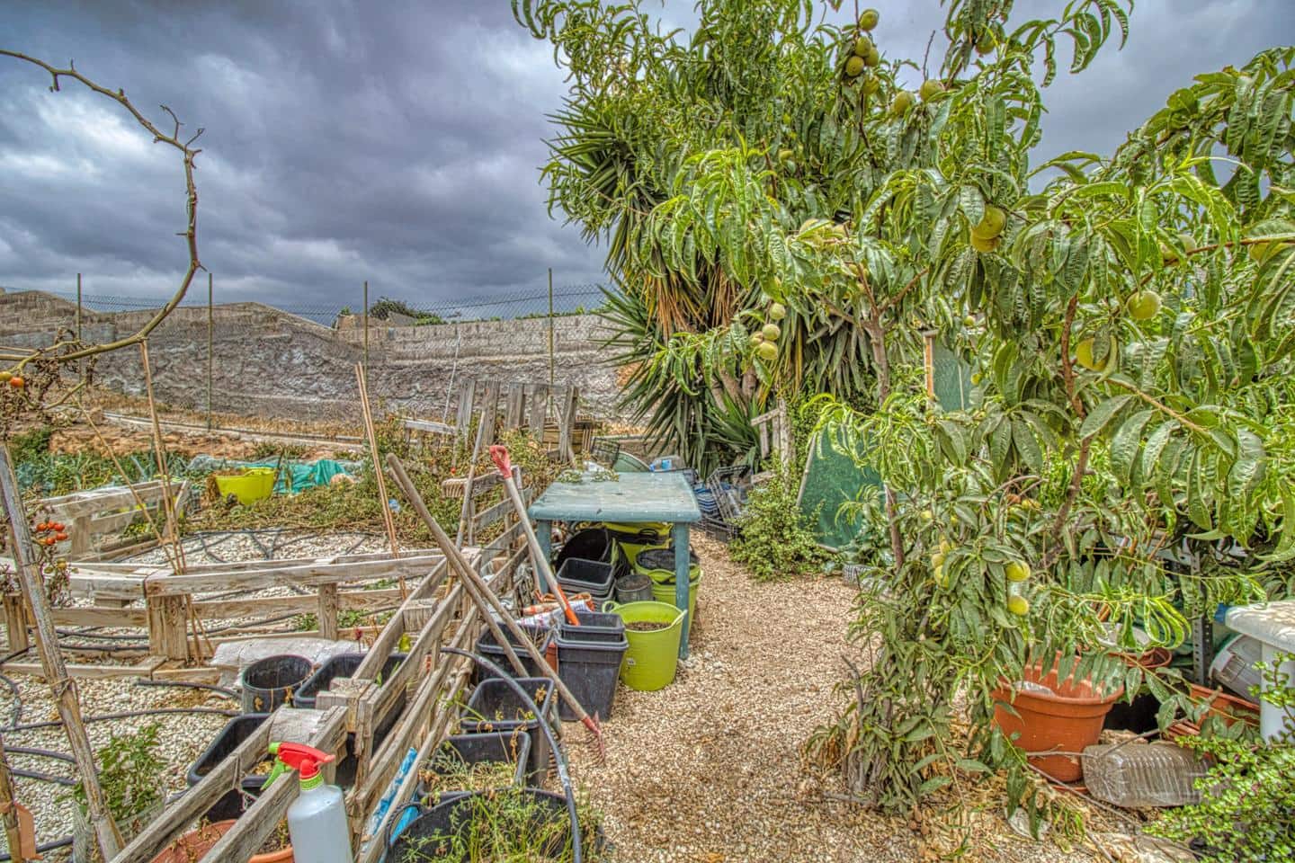 3 soveværelse Finca/Landehus til salg i Chimiche - € 340.000 (Ref: 9168237)