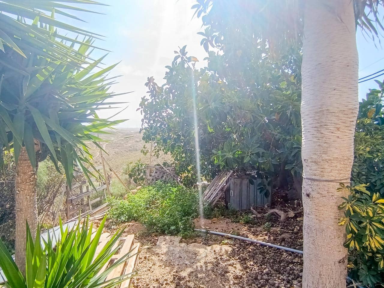 3 soverom Finca/Herregård til salgs i Chimiche - € 310 000 (Ref: 9168237)