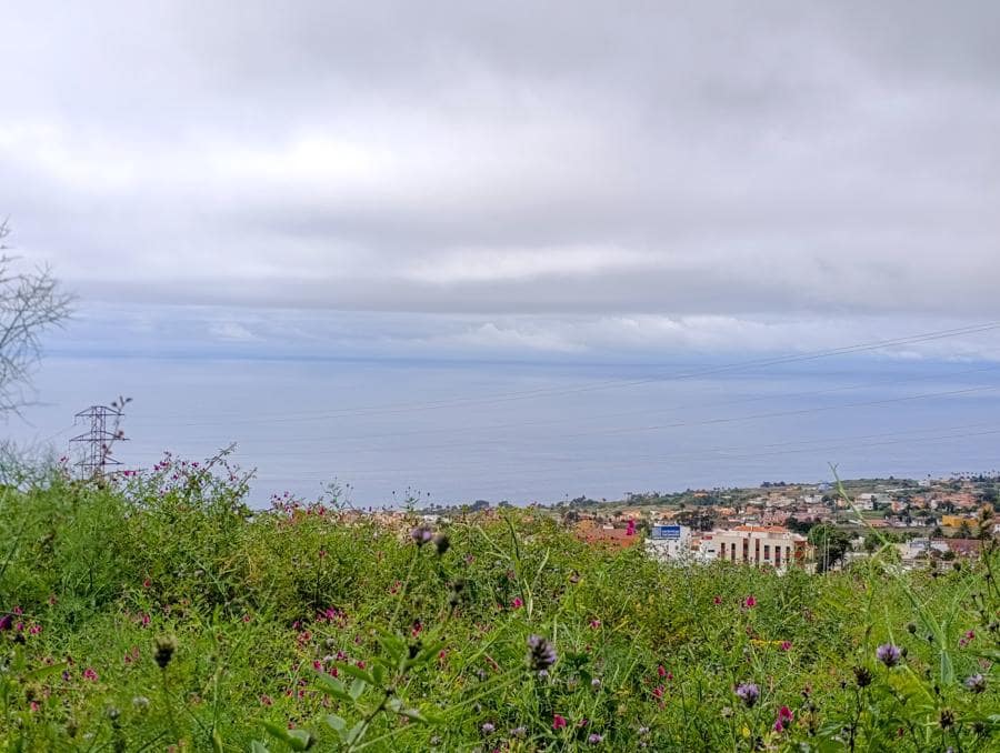 Terreno/Finca Rústica en Tacoronte en venta - 130.000 € (Ref: 9287428)