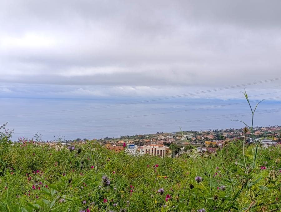 Terreno/Finca Rústica en Tacoronte en venta - 130.000 € (Ref: 9287428)