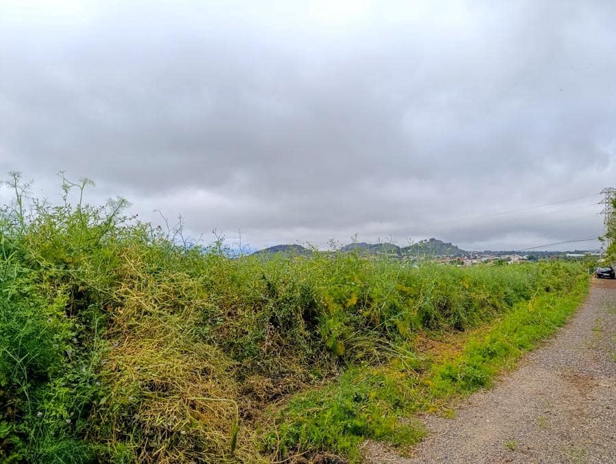 Terreno/Finca Rústica en Tacoronte en venta - 130.000 € (Ref: 9287428)