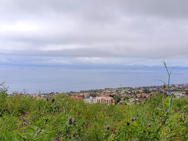 Mark till salu i Tacoronte - 130 000 € (Ref: 9287428)