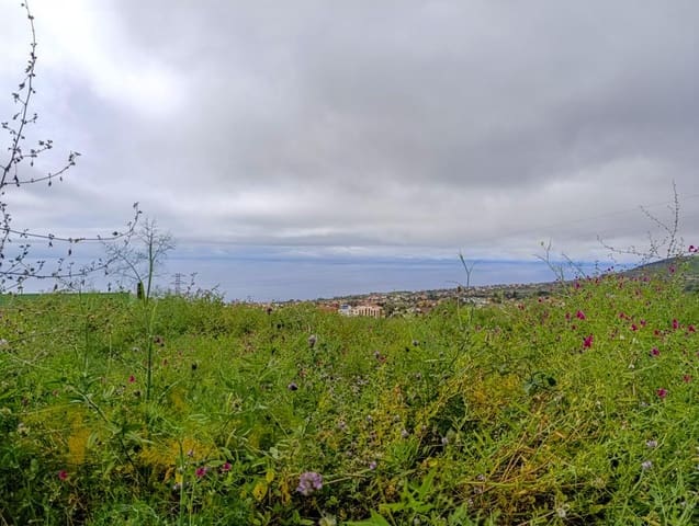 Mark till salu i Tacoronte - 130 000 € (Ref: 9287428)