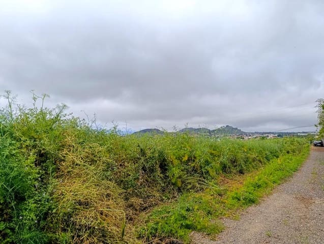 Mark till salu i Tacoronte - 130 000 € (Ref: 9287428)