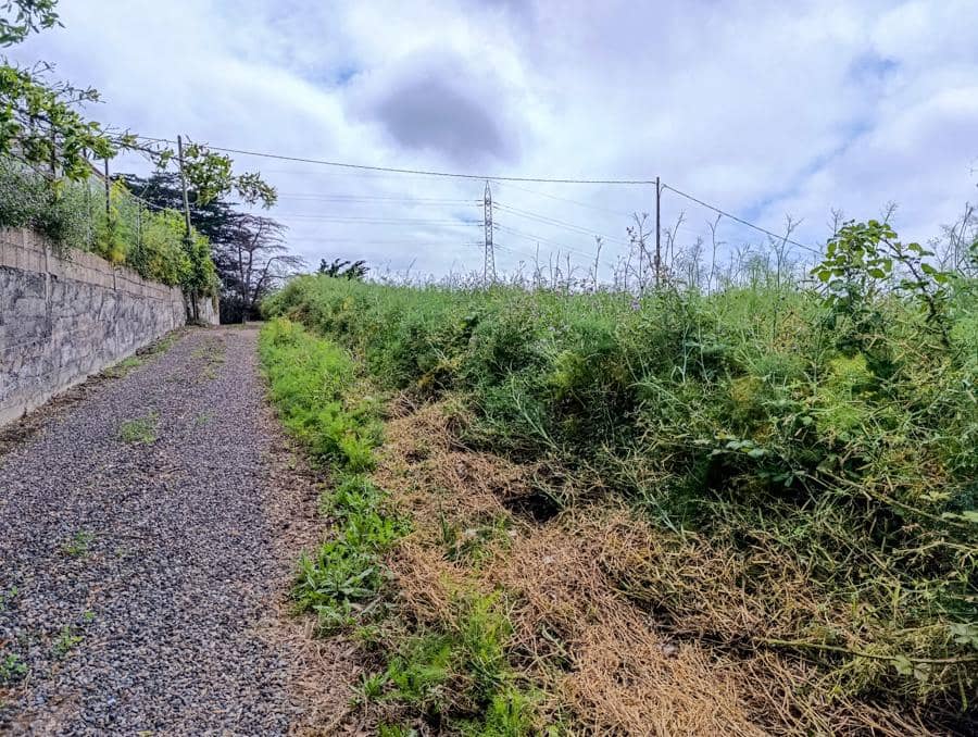 Terreno/Finca Rústica en Tacoronte en venta - 130.000 € (Ref: 9287428)