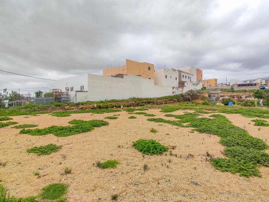 Undeveloped Land for sale in Arico - € 169,000 (Ref: 9287429)