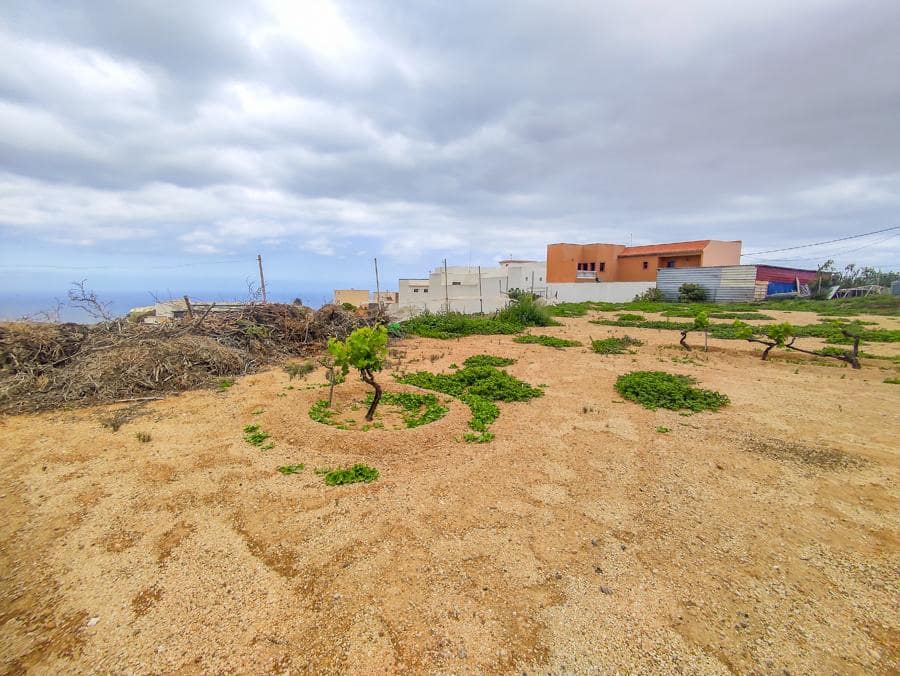 Undeveloped Land for sale in Arico - € 169,000 (Ref: 9287429)