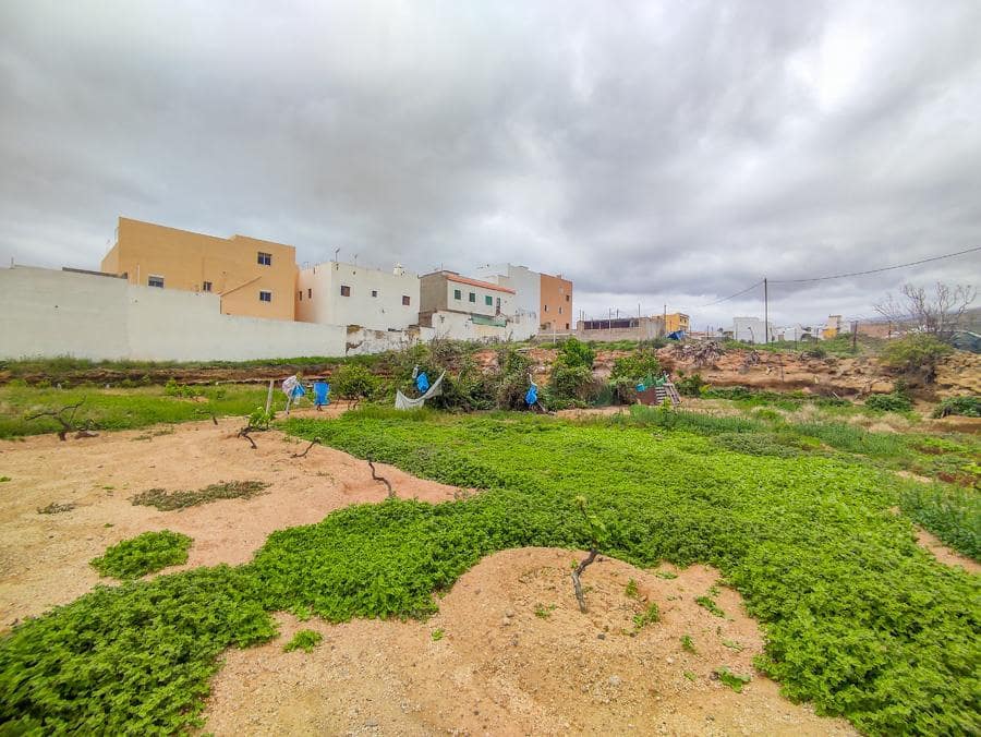 Undeveloped Land for sale in Arico - € 169,000 (Ref: 9287429)