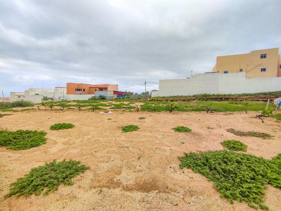 Undeveloped Land for sale in Arico - € 169,000 (Ref: 9287429)