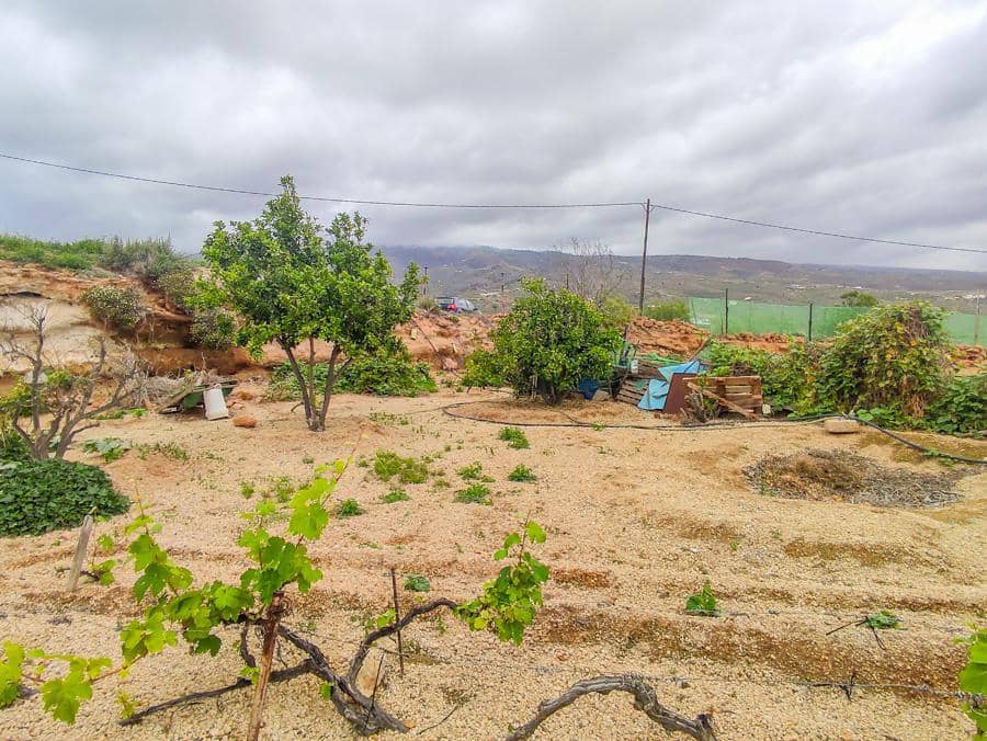 Undeveloped Land for sale in Arico - € 169,000 (Ref: 9287429)