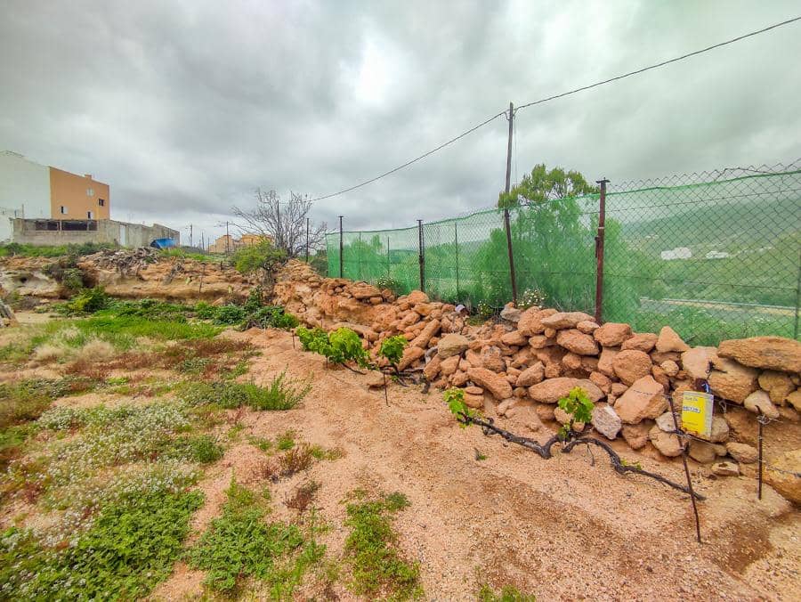 Undeveloped Land for sale in Arico - € 169,000 (Ref: 9287429)