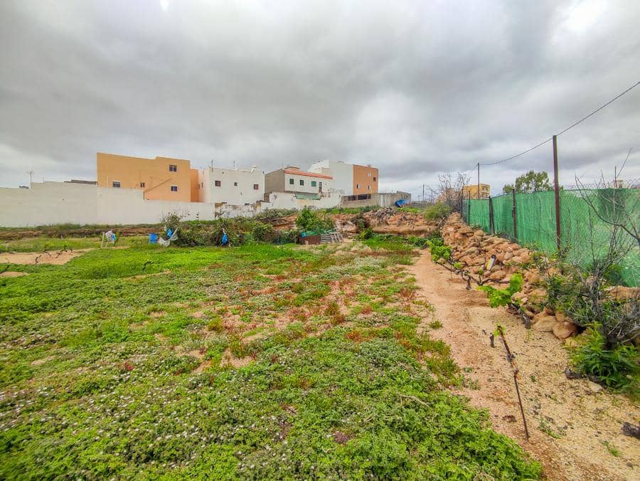 Undeveloped Land for sale in Arico - € 169,000 (Ref: 9287429)