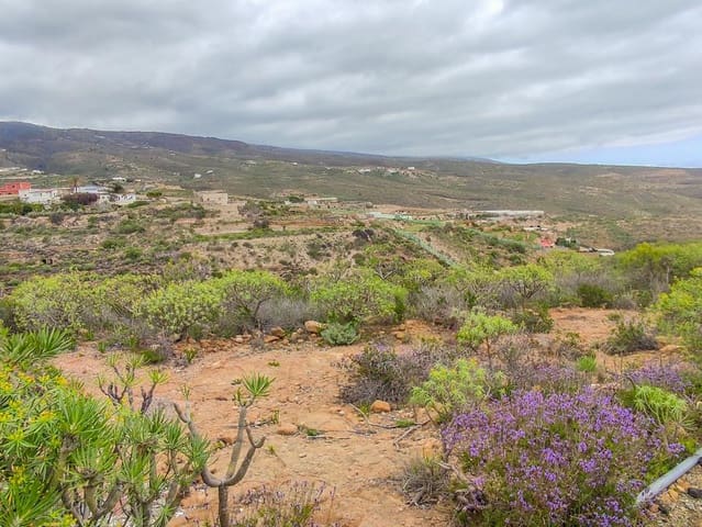 Undeveloped Land for sale in Arico - € 169,000 (Ref: 9287429)