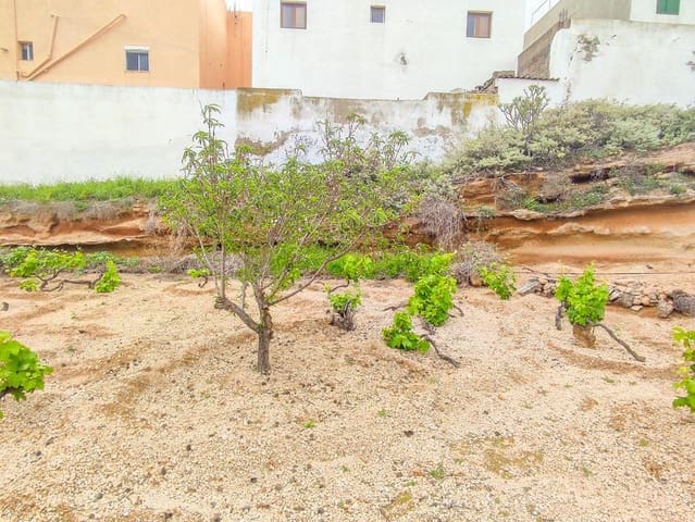 Undeveloped Land for sale in Arico - € 169,000 (Ref: 9287429)